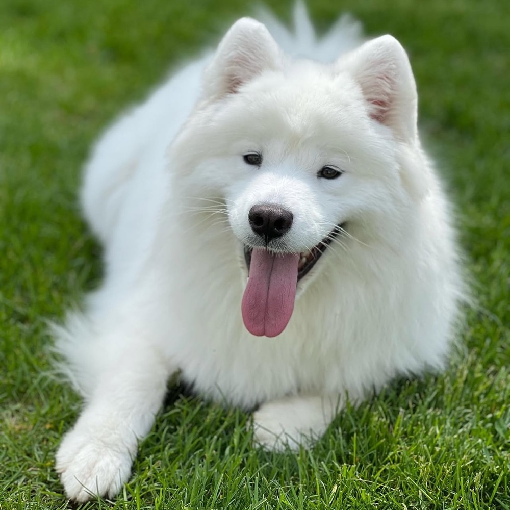 Hi, I’m Jessica 👋 😊 - Picture 10 of 11